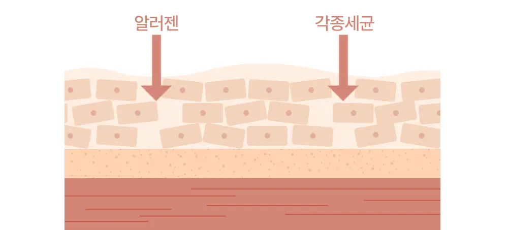 [괄사 마사지용 추천] 아토팜 크림 마사지 오일 200ml 상세페이지 24